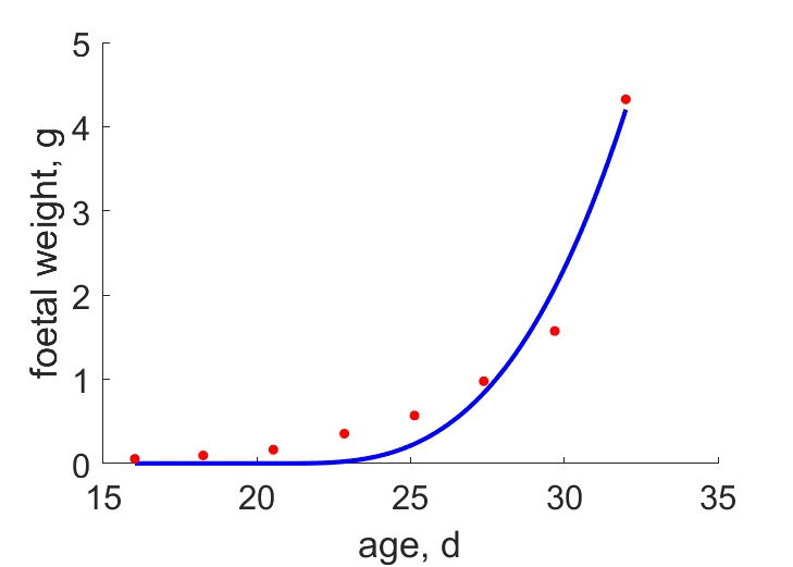 foetal development