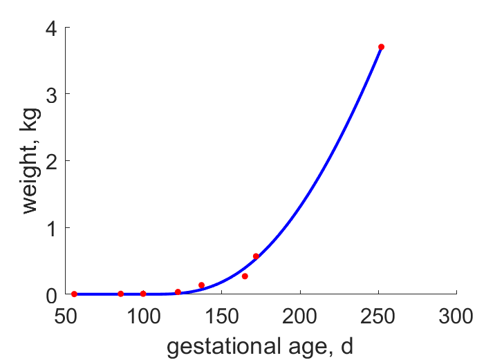 foetal development