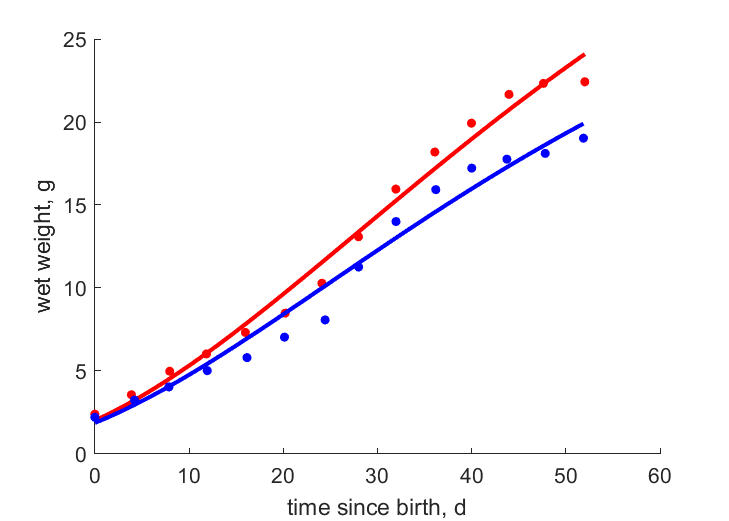 Data for litter size 2, 3