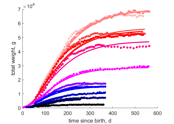 Data for races E, SB, I, G, N, L, B, S, CS, M, CT, P