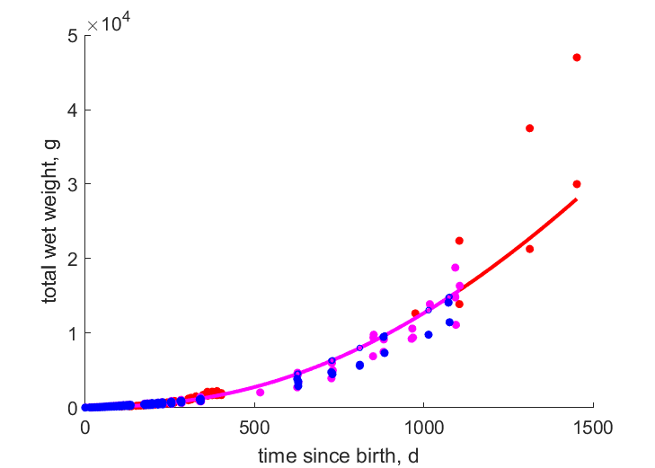 mass, 8 turtles at constant T=23.5C