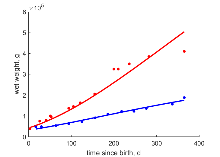 data for 3 male calves