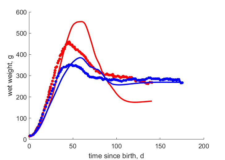 Different feeding regimes