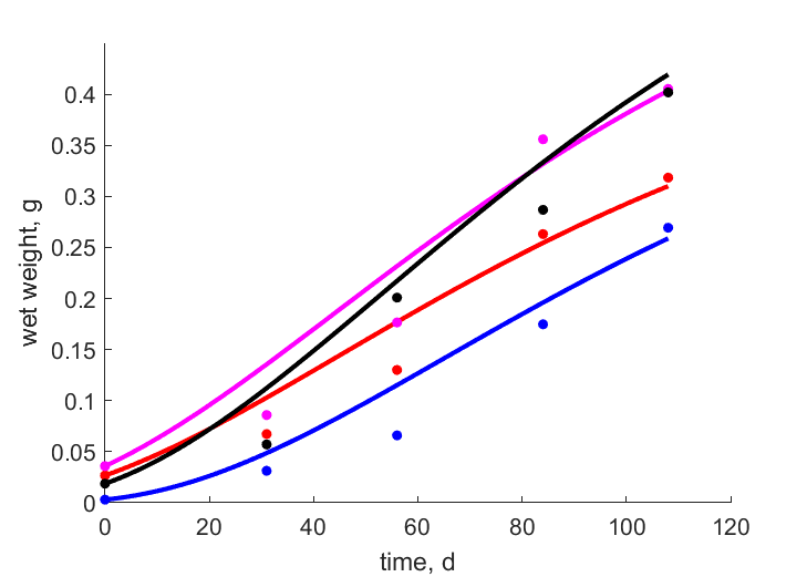 Weight for individuals, exp 1