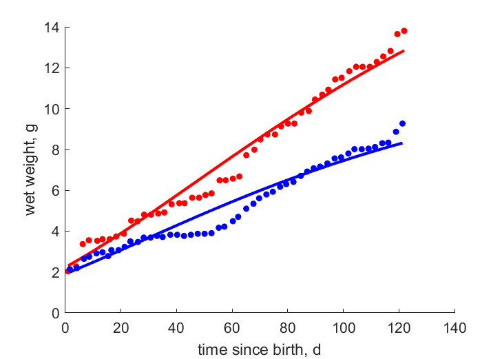 Data for diet on house cricket, mealworm