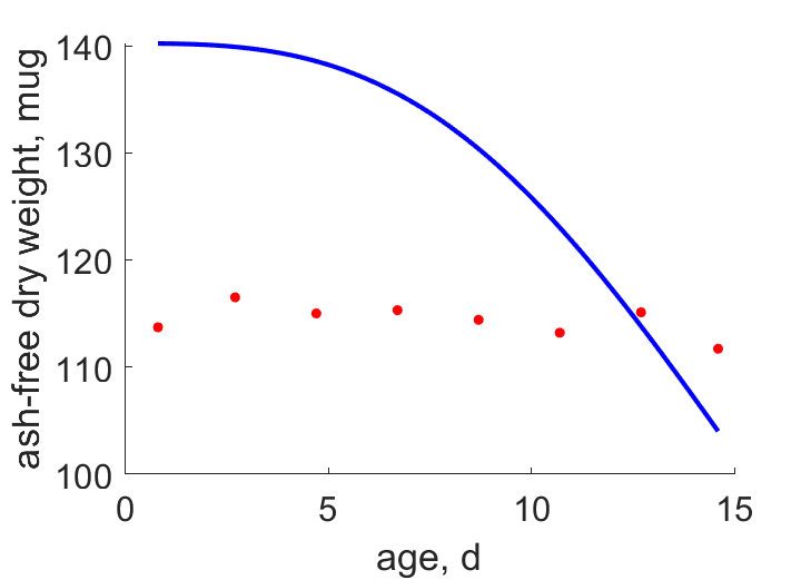 Embryo development, FinnFyhn1995