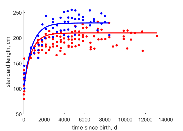 standard length females, males