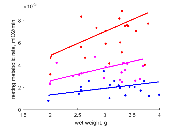 resting metabolic rate at 30, 20 and 10 C