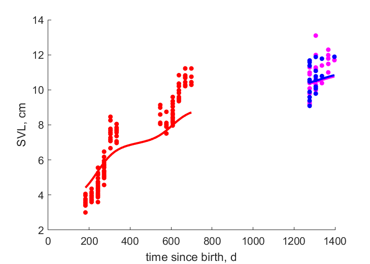 Data for subadults, females, males (Salvador 1988)