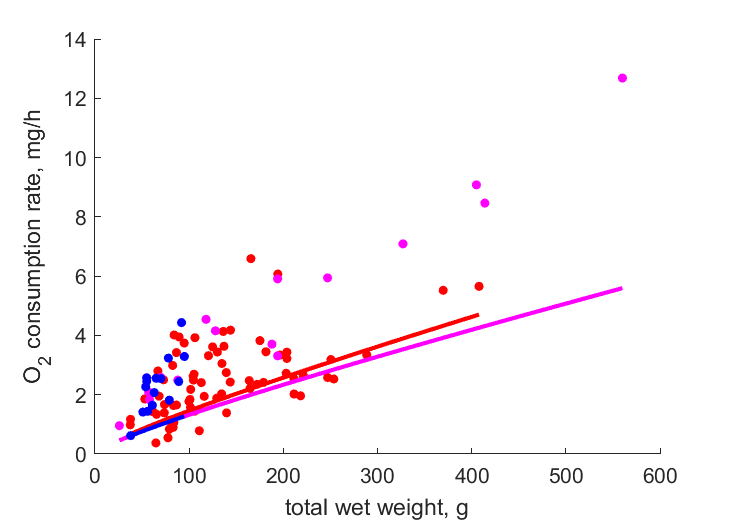 total weight - O2 consumption rate from different sites