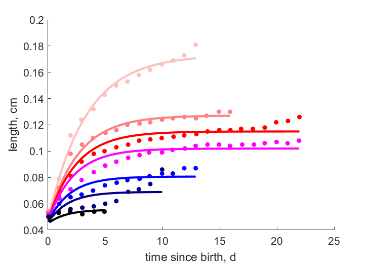 Data at 6.2e5, 6.2e4, 3.1e4, 1.5e4, 6.2e3, 6.2e2, 6 cells/ml