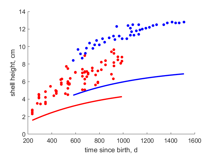 In-situ growth at different food