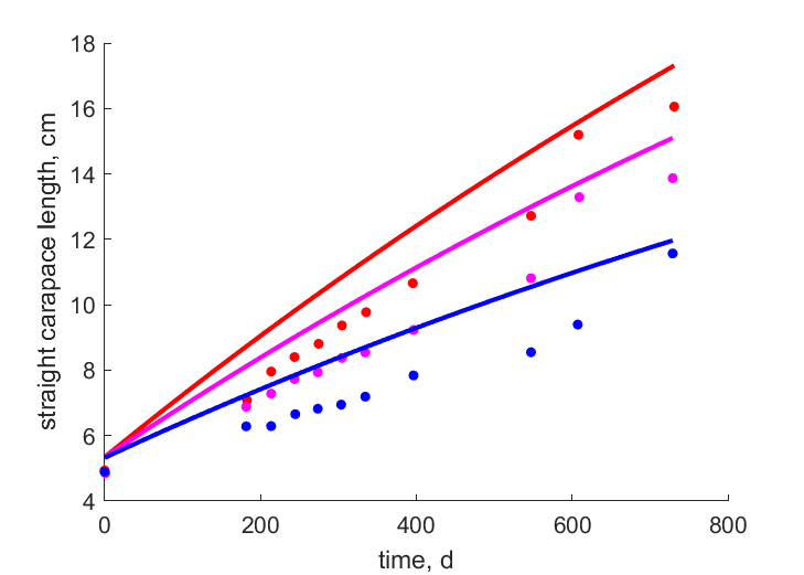 Data for Commercial, Vegetarian, Omnivorous diet