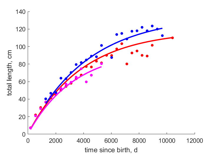 Data females, yellow and gray males