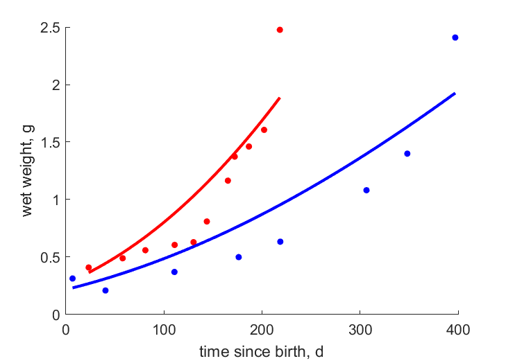 Data for Gush Hulav Pond, Sasa rock pool