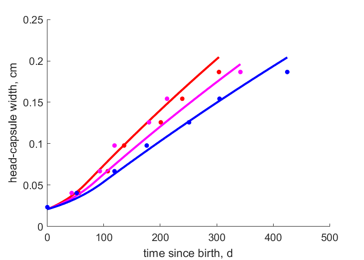 head-capsule width at  14, 10 and 6 degree Celsius