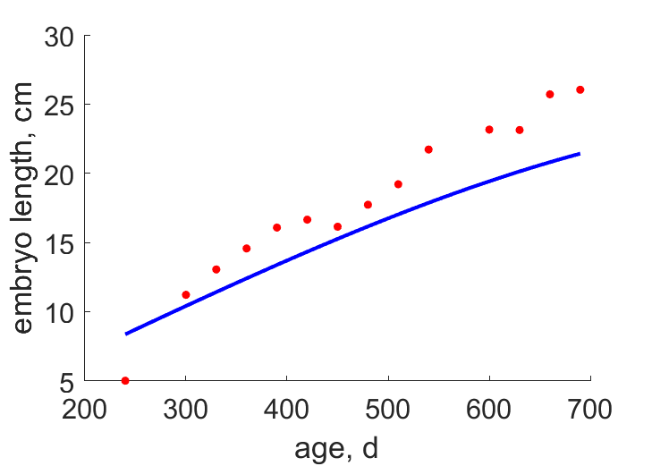 Data for embryo