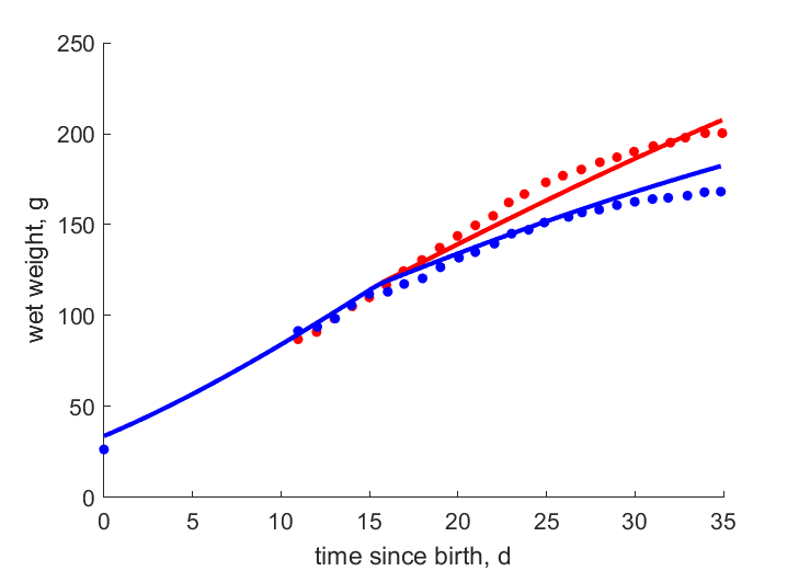 Data at high, low energy topsmelt after 15 d